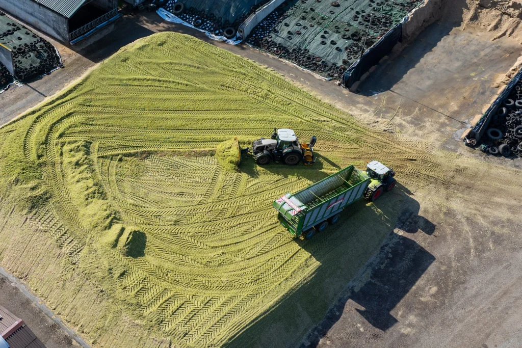 MAMMUT maïsschuif met silagewals op de trekker, opraapwagen lost maïsoogst en wordt tegelijkertijd verdeeld en verdicht
