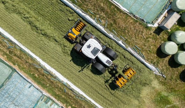 Silagewalze beim Verdichten im Fahrsilo