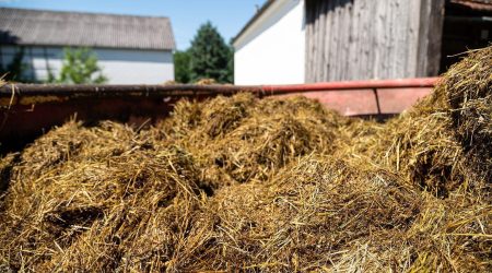 Coupe-balles POWER CUT provoque une dissolution plus rapide de l'aliment dans le mélangeur