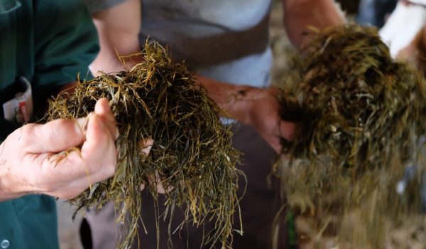 FEED MASTER - Familie Deutinger, Gurten - Futterkontrolle