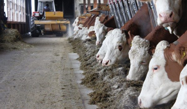 FEED MASTER - Familie Hochrainer, Frankenburg