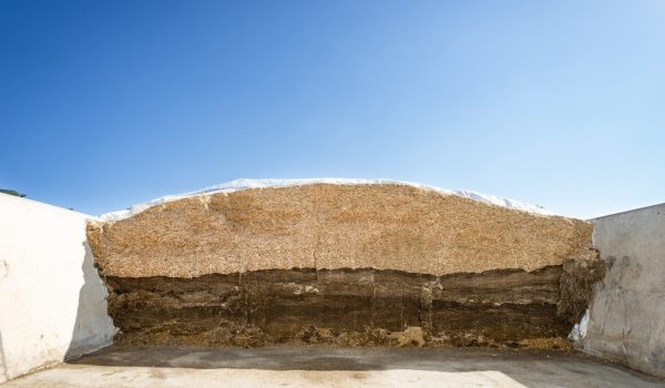 Gerald Kettl - Milchviehbetrieb