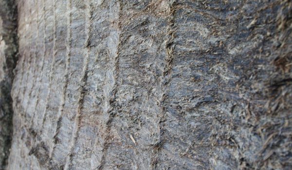 Hendrik Kuiper - Milchviehbetrieb & Biogasanlage