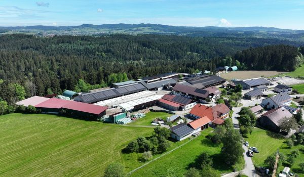 MAMMUT Futterernte XXL landwirtschaftlicher Betrieb Konrad