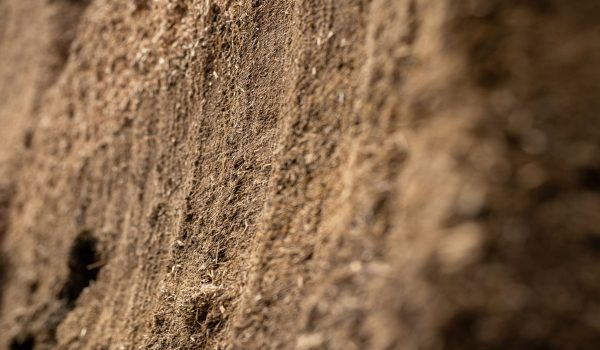 MAMMUT Story Biogasanlage Großmann-Neuhäusler Anschnittfläche Silozange 290 XXL