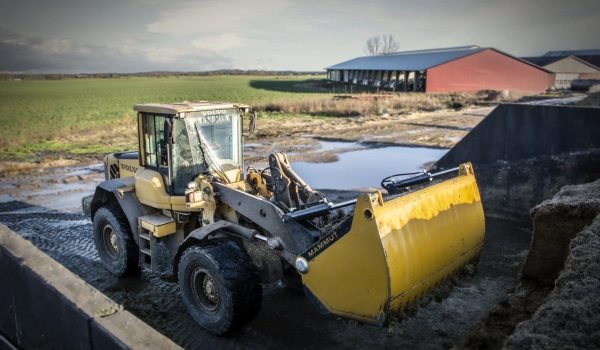 Pontus Persson - Milchviehbetrieb & Stiermast - Silozange SILO CAT auf Radlader