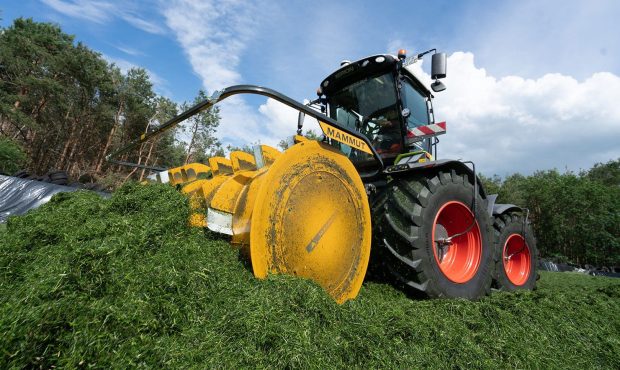 Siloverteilerwalze MAMMUT mit Claas Xerion im Grassilo