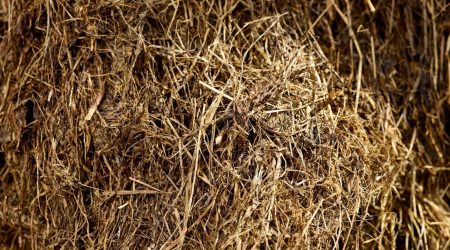 aufgelockertes Silo ohne Verwendung von Silozange SILO CAT